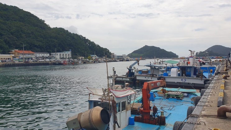  우산 펼치는 꿈 해몽 상황별로 알아봐요