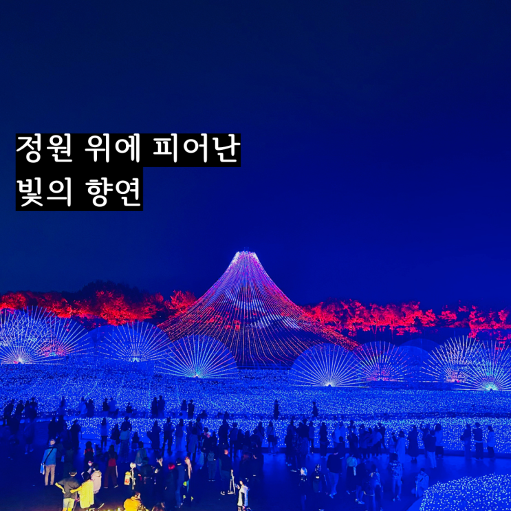  일본 나고야 여행 나바나노사토 일루미네이션