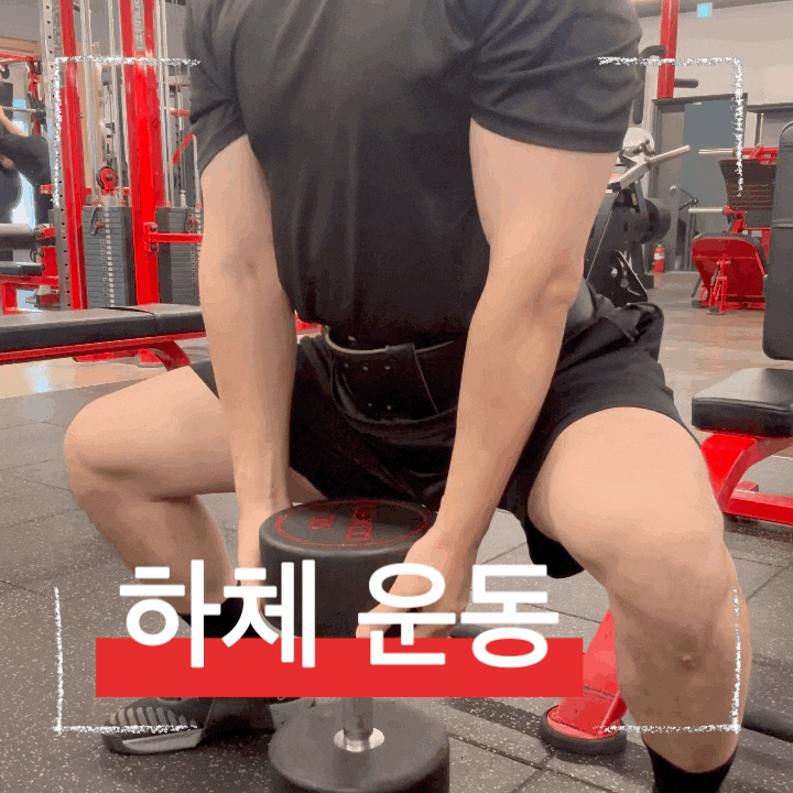  허벅지 안쪽, 힙업에 좋은 헬스초보 헬린이용 스모 스쿼트 방법