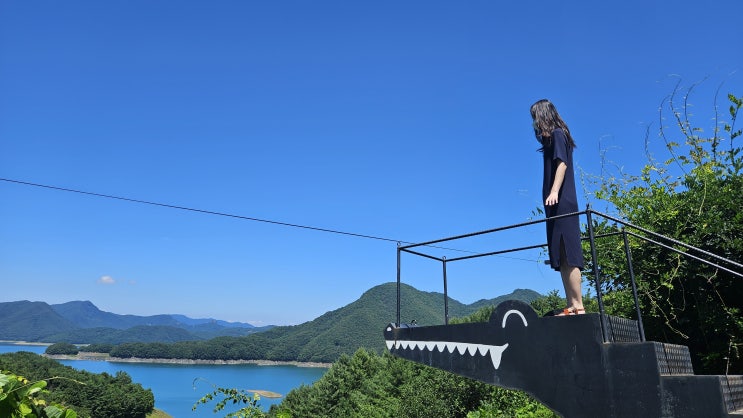  충주 충주호 악어섬을 한 눈에 내려다 보는 카페 게으른악어