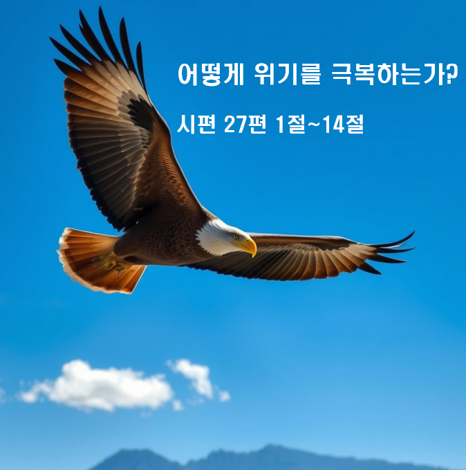  어떻게 위기를 극복하는가? 시편 27편 1절~14절