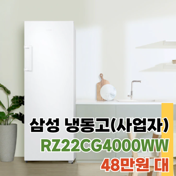  삼성 냉동고 1도어 RZ22CG4000WW 소상공인용