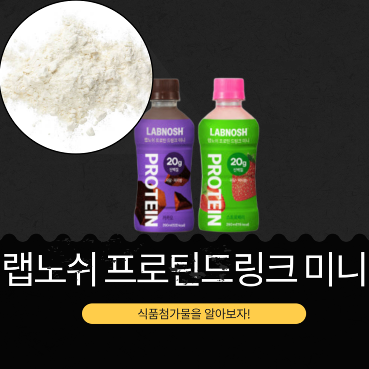  코스트코 신상 32,990원 [랩노쉬 프로틴 드링크 미니] 단백질 20g 식품첨가물 영양성분