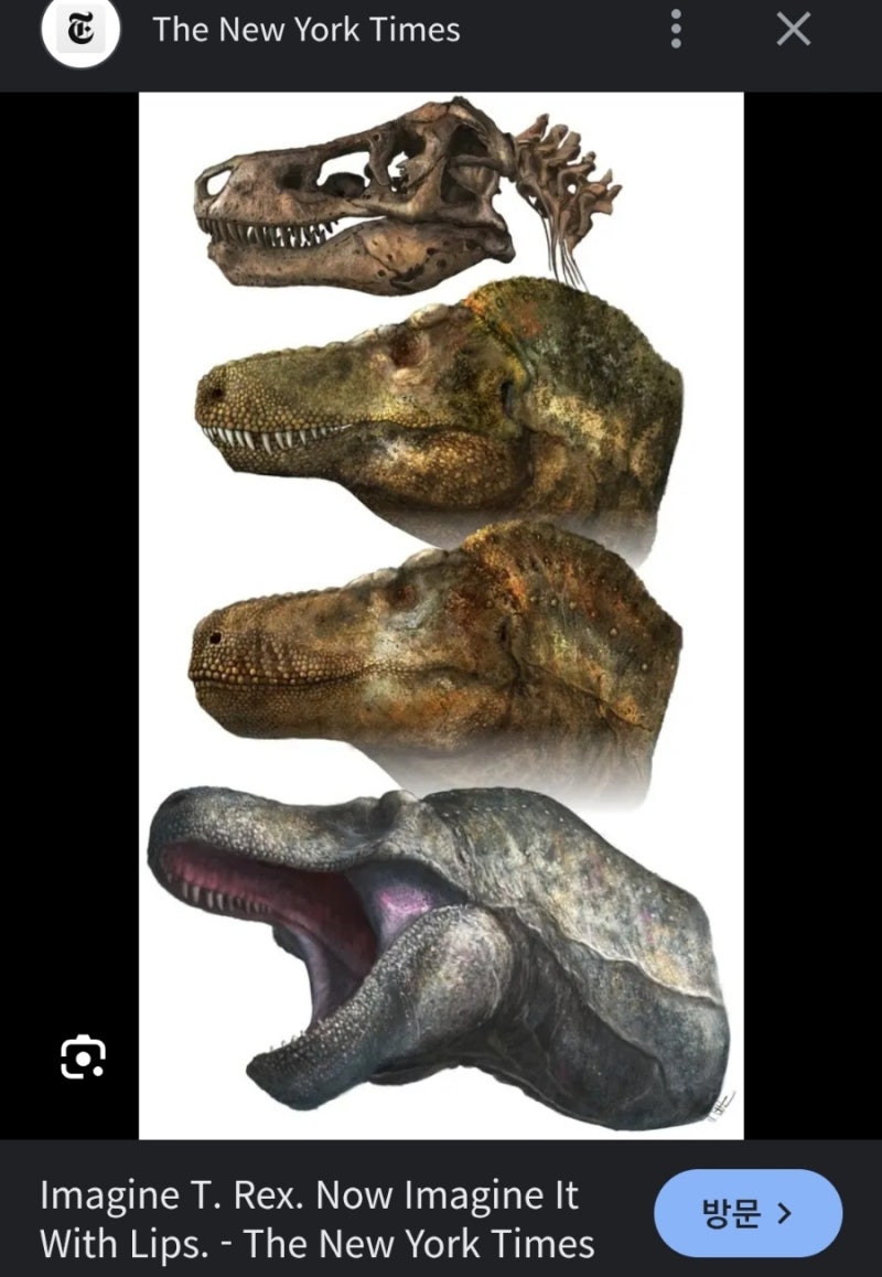 3~밈, 짤 무료 템플릿. 저작권 걱정 없는 디자인 | Canva(캔바) 페이지, image size:800x1158