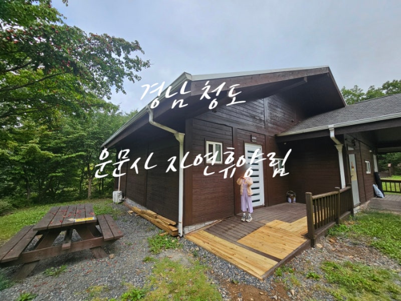청도여행 청도 가성비숙소 운문산 자연휴양림 숙박후기