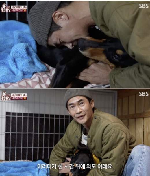 <b>배정남 반려견</b> '<b>벨</b>', 갑작스러운 <b>심장마비</b>로 별이 되다... 