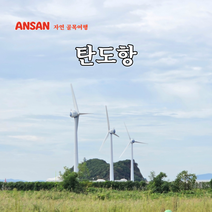 안산 탄도항 썰물에 열리는 바닷길 대부도 여행 갈만한곳