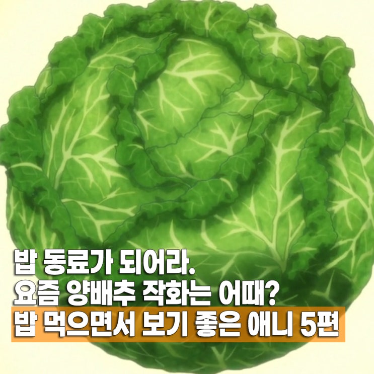  밥 먹으면서 볼만한 재밌는 추천 애니 5편