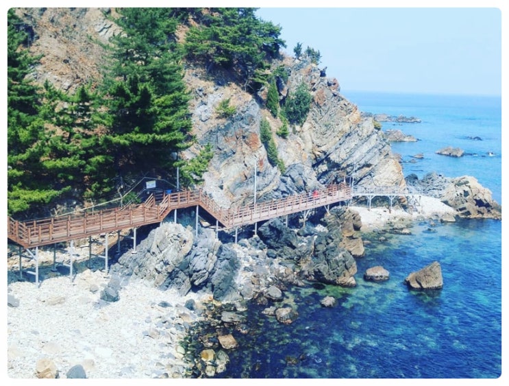  추석연휴 가볼만한곳 정동진바다부채길 | 강릉부채길 주차장, 매표소, 입장료, 시간 총정리