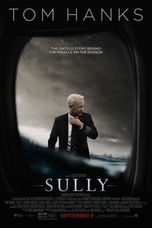 설리: 허드슨강의 기적 (Sully, 2016), 파일럿 리뷰