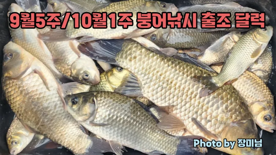하리지 사진 1