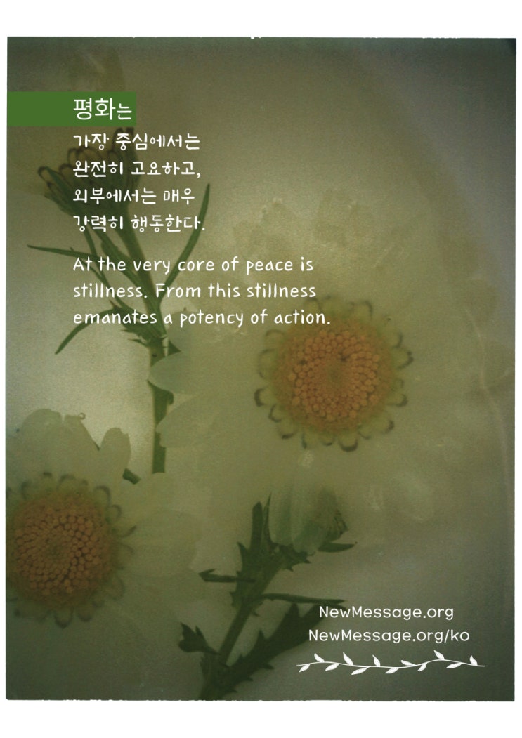  평화는 가장 중심에서는 고요하고 외부에서는 강력히 행동한다
