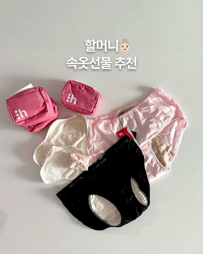손녀가 사준 할머니선물 요실금팬티 한나(선택 기준, 여성 후기, 흡수력)