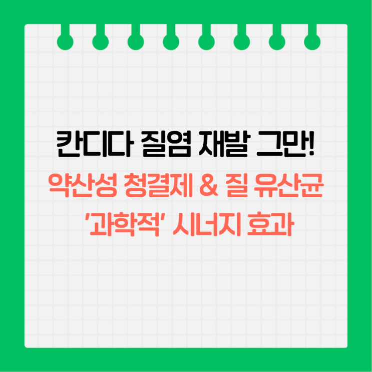 저자극 약산성 여성청결제 & 질 유산균, 칸디다 질염과 사타구니 가려움에 대한 현실적인 가이드 