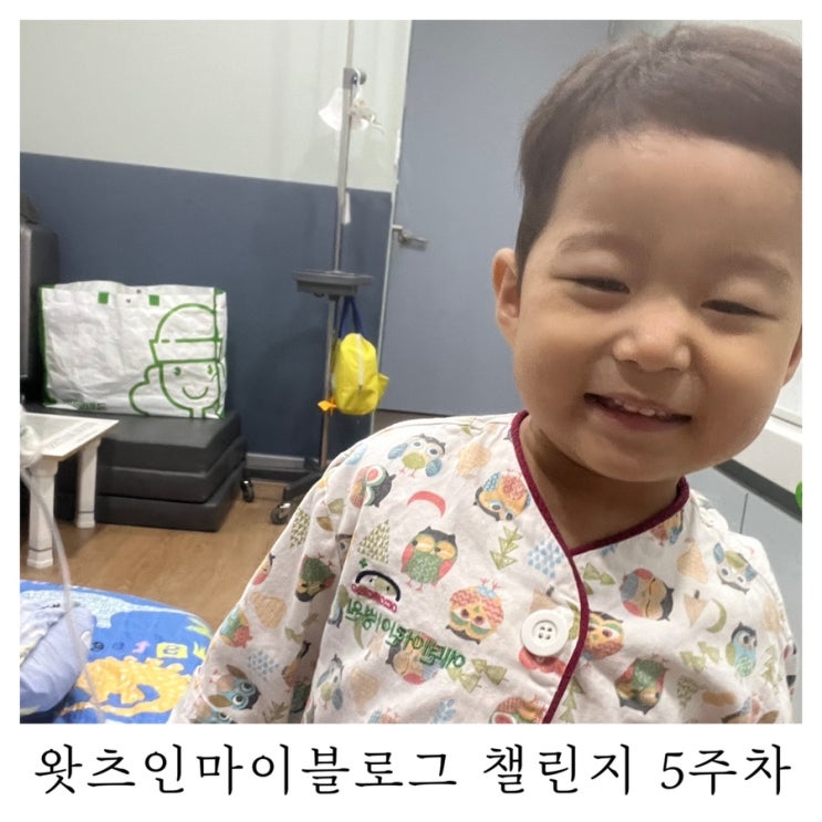  [블챌]왓츠인마이블로그 챌린지 수족구 이 나쁜 녀석