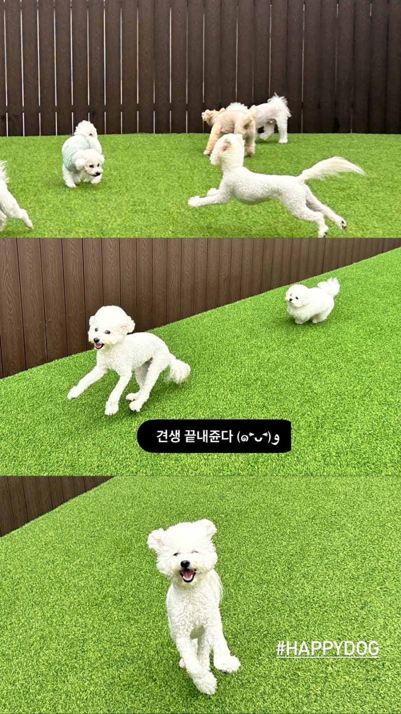 사진 7
