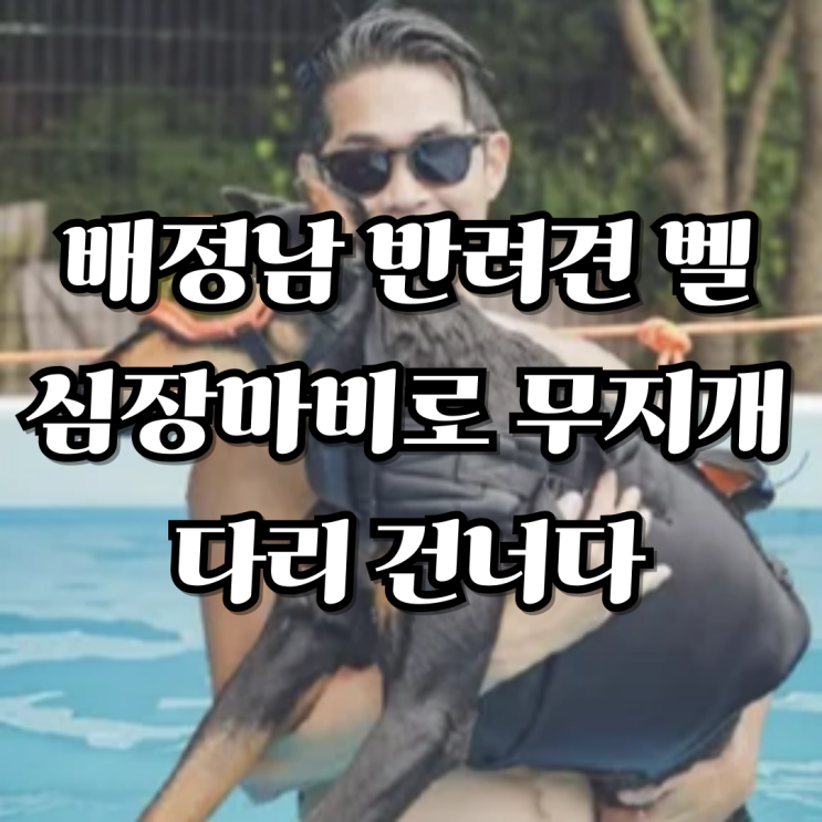 <b>배정남 반려견</b> 벨, <b>심장마비</b>로 무지개 다리 건너다: 펫로스... 