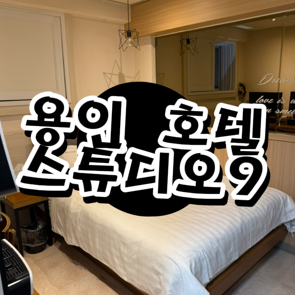  용인중앙시장역 호텔 추천｜처인구 비즈니스 숙소 스튜디오9 솔직 후기