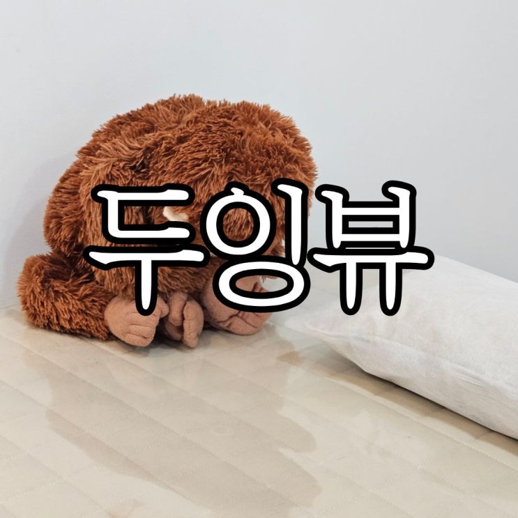  창원왁싱샵 반려동물 동반 가능한 '두잉뷰왁싱 창원점' 브라질리언왁싱 후기