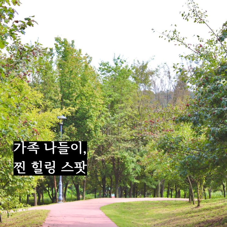  인천 부평 나들이장소 원적산공원 나비공원