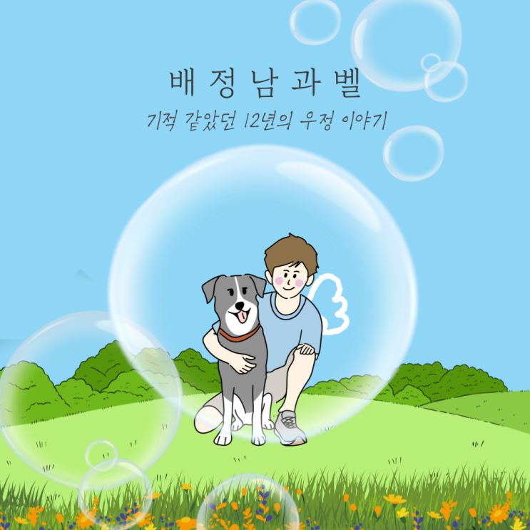  갑작스런 심장마비로 떠난 벨에게 보내는 마지막 인사... 배정남과 벨, 기적 같았던 첫 만남