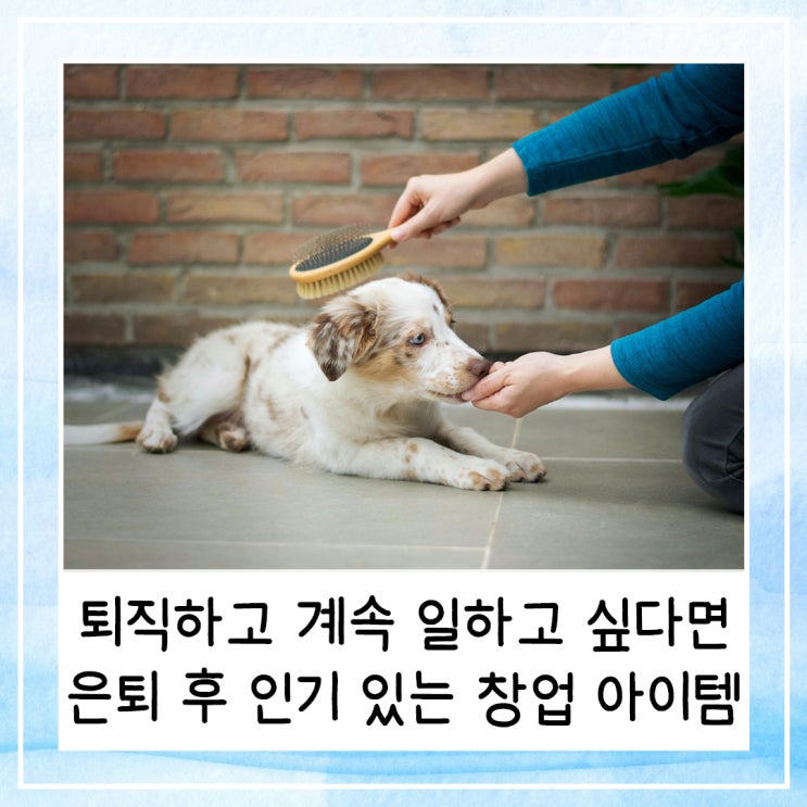  퇴직하고 계속 일하고 싶다면 | 은퇴 후 인기 있는 직업과 창업 아이템 알아보기