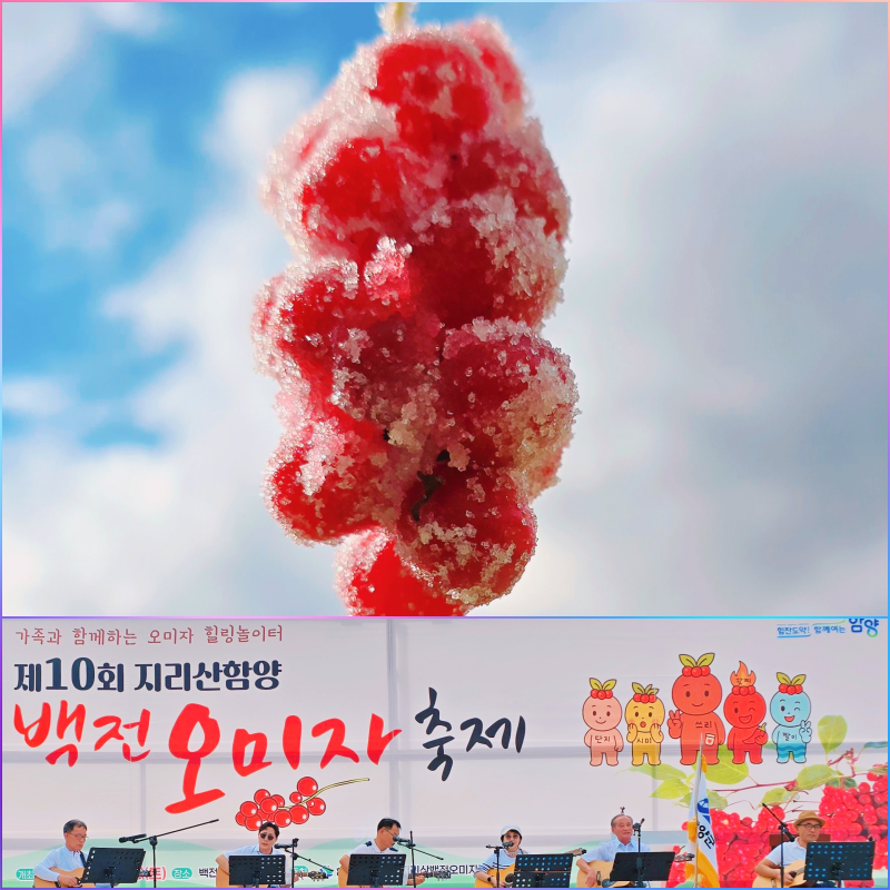 제10회 백전오미자축제, 오미자청 만들기와 밤깨비농장 빵의 달콤한 만남