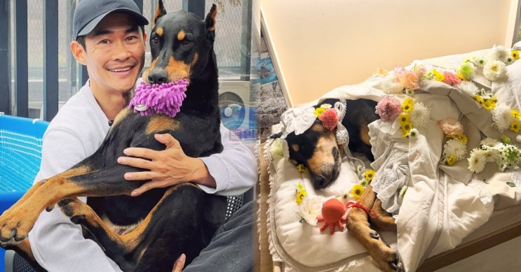 <b>배정남</b>, 반려견 <b>벨 심장마비</b>로 떠나보내…“많이 사랑한다”... 