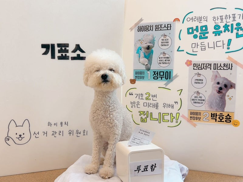 사진 8