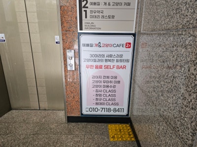 사진 9