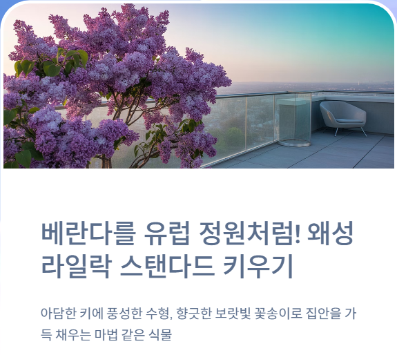  베란다를 유럽 정원처럼! '왜성라일락 스탠다드' 키우기 A to Z (미스김 vs 팔라빈)