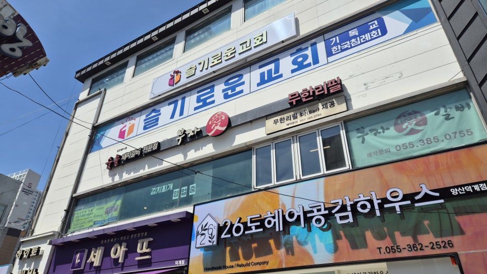 부자애 사진 3
