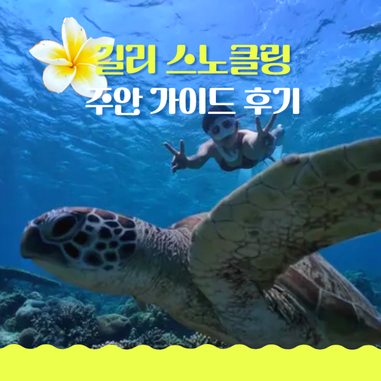  길리 스노쿨링 투어 추천 주안 가이드 내돈내산