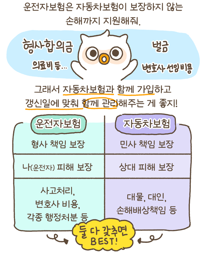 자동차보험이 있는데, 운전자보험이 필요해?