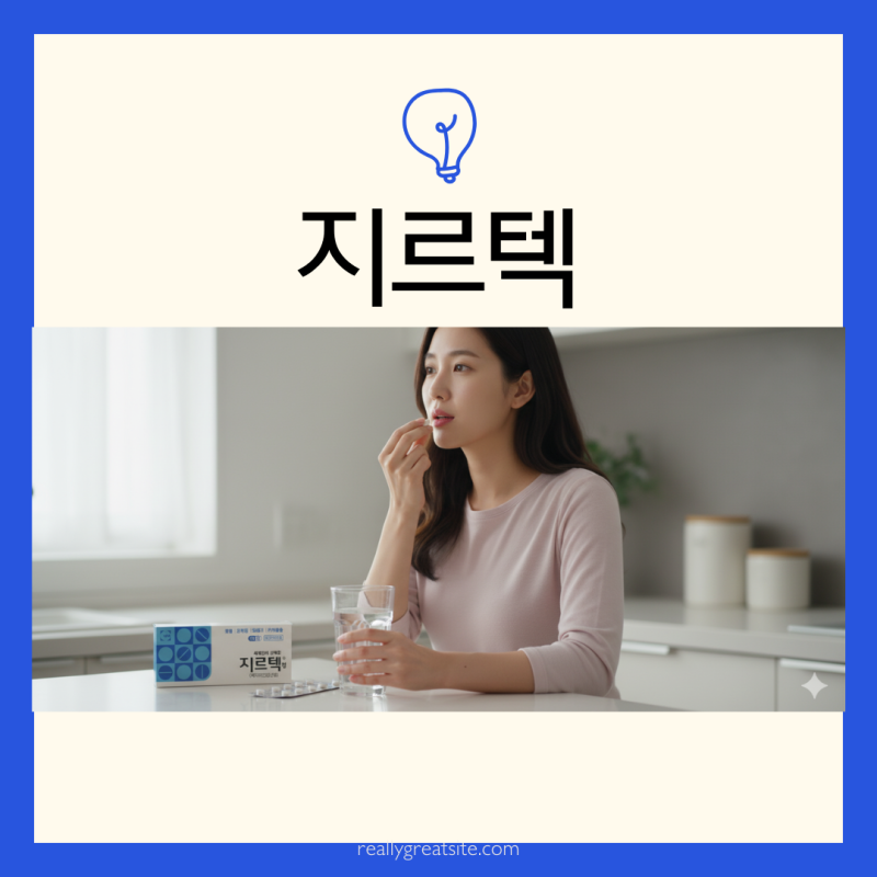 지르텍 효과 편의점 부작용 2알 어린이 복용법 성분 술