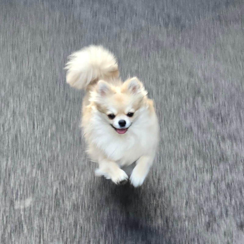 사진 5
