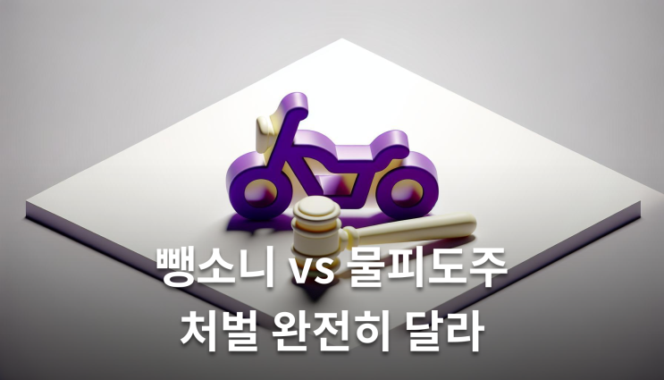  오토바이뺑소니 물피도주는 벌금만