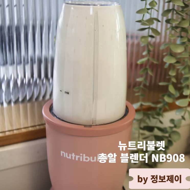  소형믹서기 추천 뉴트리불렛 총알블렌더 후기