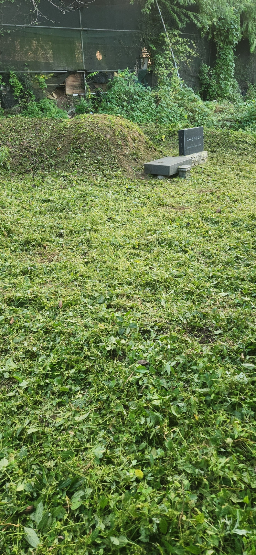 밤나무골 사진 6