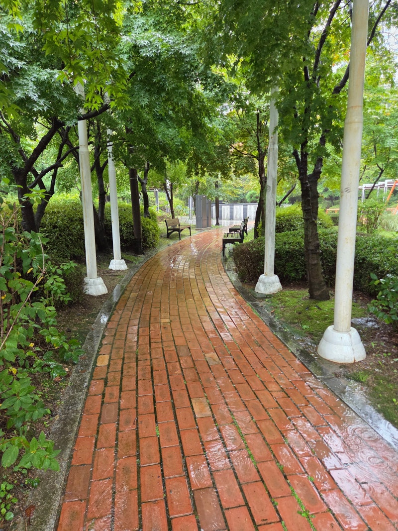 정책지식 2025.9.29. : 네이버 블로그