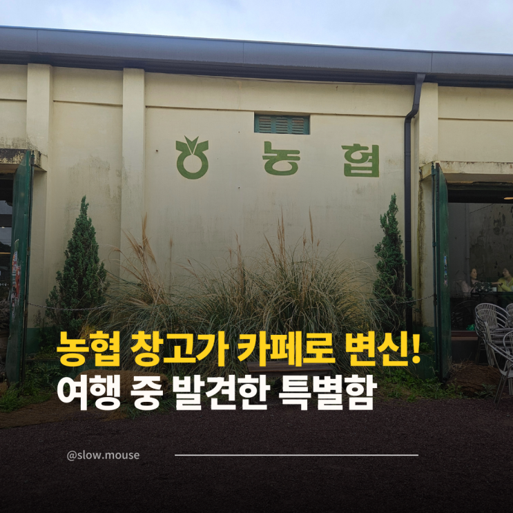  농협 창고가 카페로? 직접 가보고 깜짝 놀란 이유