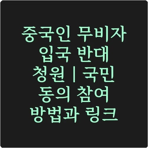 중국인 무비자 입국 반대 청원｜국민 동의 참여 방법과 링크