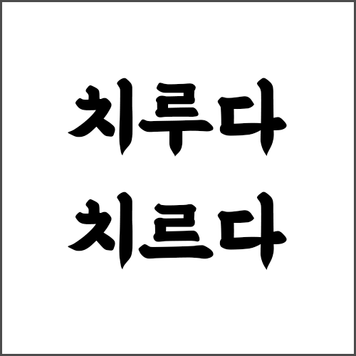 치루다 치르다 헷갈리는 맞춤법 간단 정리