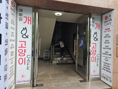 사진 8