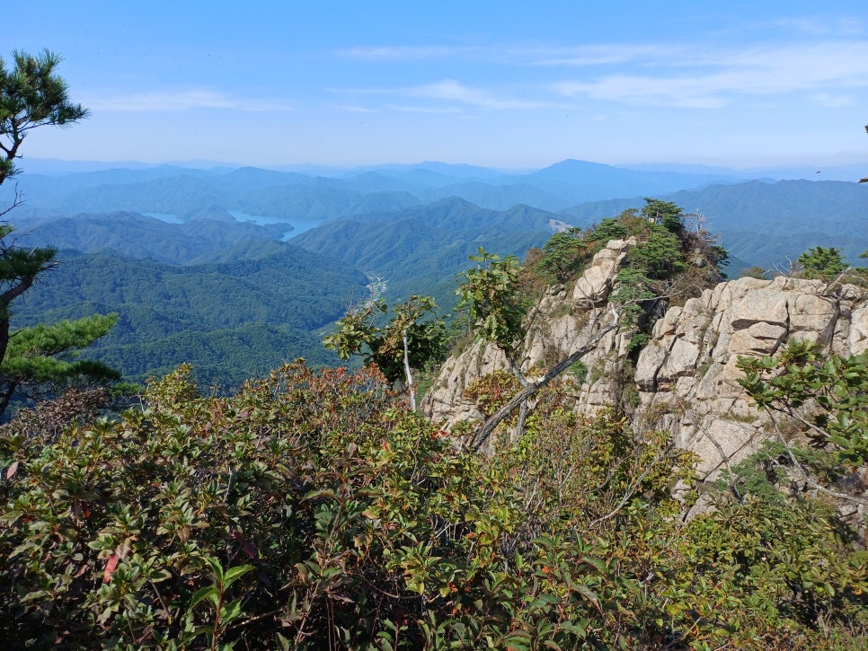 야인시대펜션 사진 4