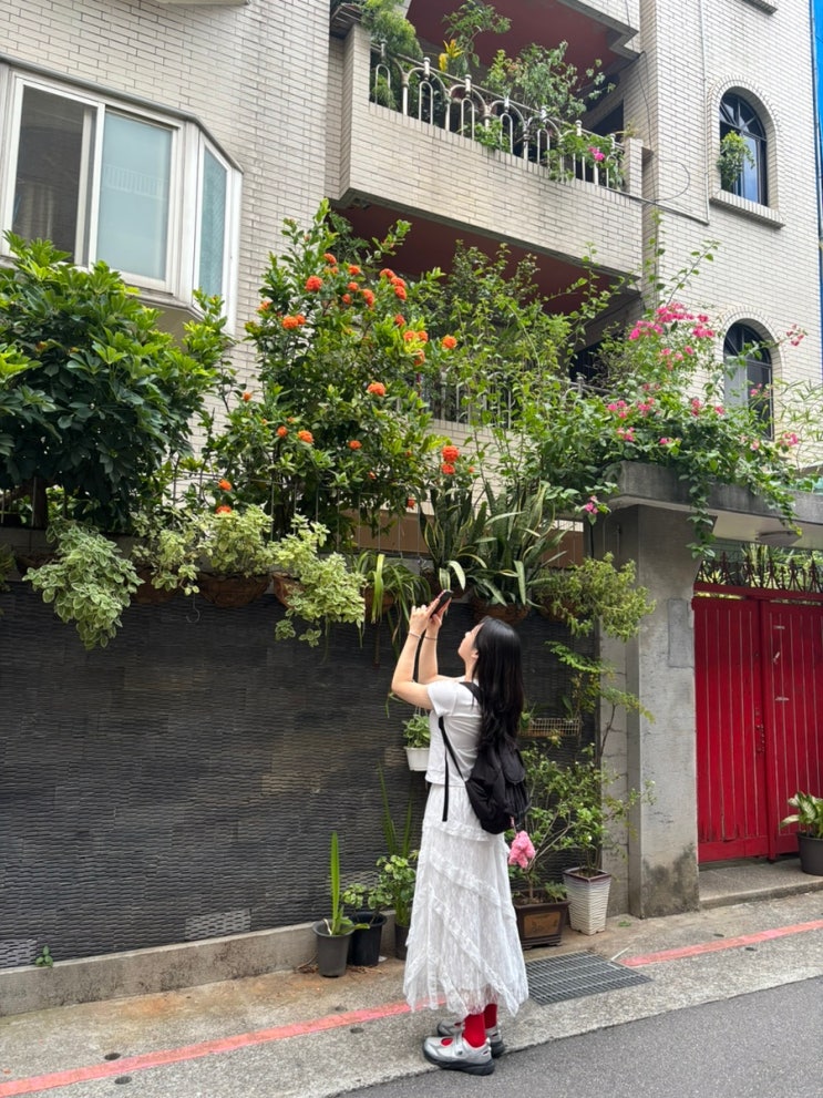  [대만]1. 대만에서 길을 잃고, 추억을 얻다.