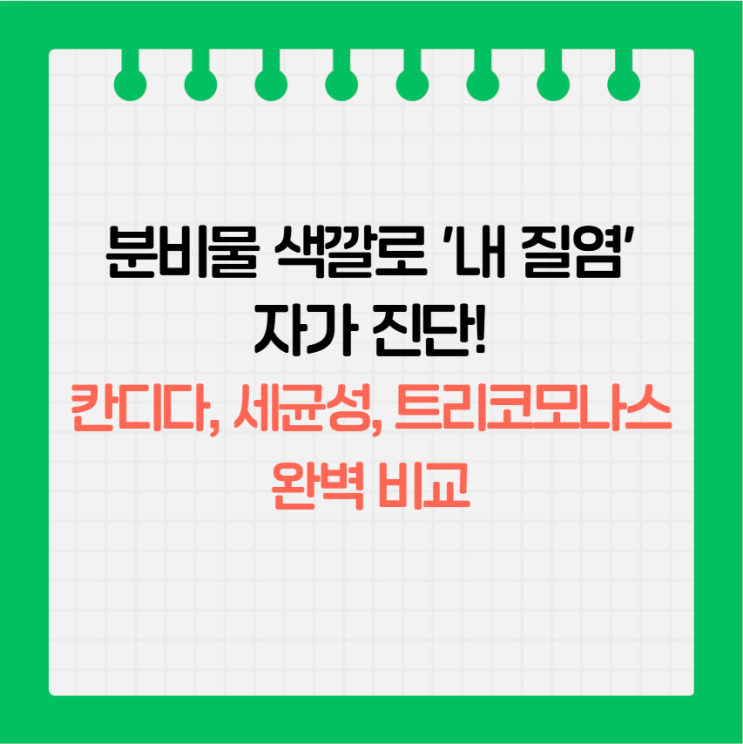  분비물 색깔별 자가 진단 가이드: 칸디다 vs 세균성 vs 트리코모나스 질염 완벽 비교