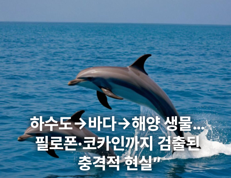 “<b>전국 하수</b>도에서 필로폰 <b>검출</b>…바다까지 퍼진 <b>마약</b> 오염... 