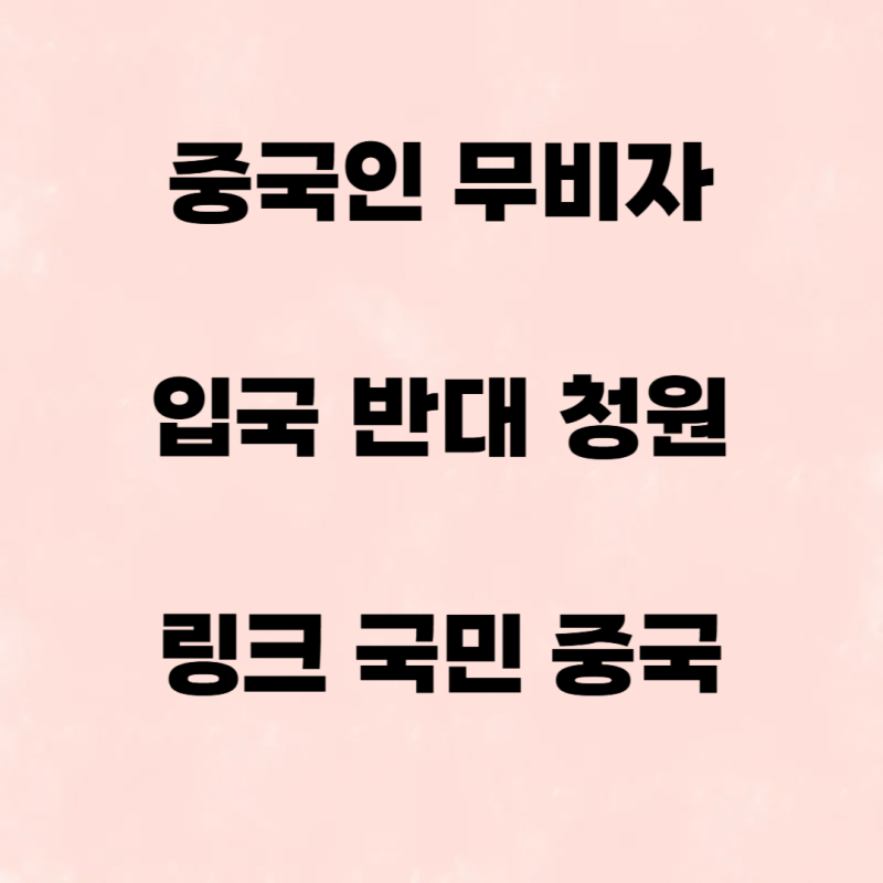 중국인 무비자 입국 반대 청원 링크 국민 중국