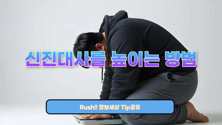  신진대사를 높이는 방법